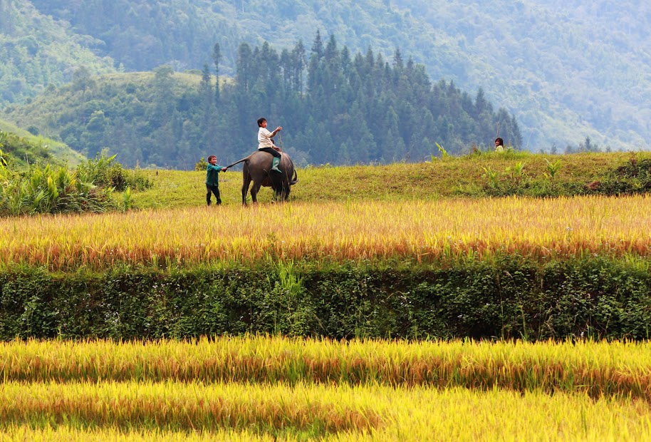 Ký sự du lịch Sapa